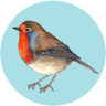 Garden Bird UK
